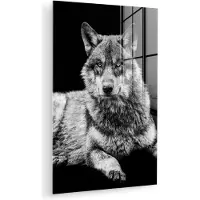 MuchoWow Glasschilderij - Foto op glas - Wilde dieren - Wolf - Zwart - Wit - Acrylglas - 60x90 cm - Glasschilderij wolf - Glasschilderij dieren - Schilderij glas - Muurdecoratie - Woonkamer