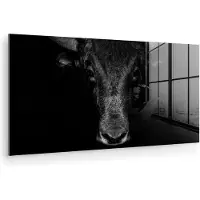 MuchoWow - Glasschilderij - Foto op glas - Acrylglas - Dieren - Stier - Zwart - Wit - Schilderijen woonkamer - 40x20 cm - Schilderij glas - Wanddecoratie dieren - Slaapkamer