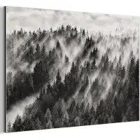 MuchoWow Aluminium schilderij 120x80 cm - Wanddecoratie metaal - Landschap - Mist - Bos - Natuur - Metalen muurdecoratie woonkamer - Decoratie industrieel - Foto op dibond - Industriële accessoires slaapkamer