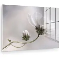 MuchoWow Glasschilderij 180x120 cm - Schilderij acrylglas - Bloemen - Stilleven - Natuur - Grijs - Foto op glas - Muurdecoratie woonkamer - Wanddecoratie slaapkamer - Schilderijen