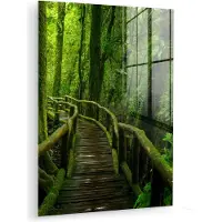 MuchoWow Glasschilderij - Foto op glas - Bos - Bomen - Jungle - Pad - Groen - Wanddecoratie - Acrylglas - 60x80 cm - Muurdecoratie - Schilderij glas
