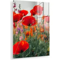 MuchoWow Glasschilderij 30x40 cm - Schilderij acrylglas - Klaproos - Bloemen - Rood - Paars - Weide - Foto op glas - Muurdecoratie woonkamer - Wanddecoratie slaapkamer - Schilderijen