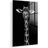 MuchoWow Glasschilderij 120x180 cm - Schilderij acrylglas - Giraffe - Dieren - Portret - Zwart - Foto op glas - Muurdecoratie woonkamer - Wanddecoratie slaapkamer - Schilderijen