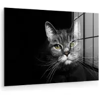 MuchoWow - Glasschilderij - Muurdecoratie - Acrylglas - Huisdieren - Kat - Geel - Zwart - Wit - Woonkamer - Wanddecoratie - 30x20 cm - Foto op glas - Kamerdecoratie
