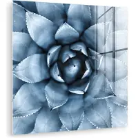 MuchoWow Glasschilderij 20x20 cm - Schilderij acrylglas - Planten - Blauw - Natuur - Foto op glas - Muurdecoratie woonkamer - Wanddecoratie slaapkamer - Schilderijen