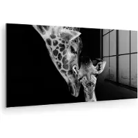 MuchoWow Glasschilderij - Foto op glas - Acrylglas - Wilde dieren - Giraffe - Familie - Zwart wit - 40x20 cm - Glasschilderij giraffe - Wanddecoratie glas - Decoratie woonkamer - Glasschilderij dieren