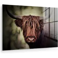 MuchoWow Glasschilderij 90x60 cm - Schilderij acrylglas - Schotse hooglander - Licht - Portret - Natuur - Foto op glas - Muurdecoratie woonkamer - Wanddecoratie slaapkamer - Schilderijen