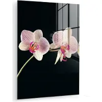 MuchoWow Glasschilderij 90x120 cm - Schilderij acrylglas - Orchidee - Bloemen - Zwart - Roze - Knoppen - Foto op glas - Muurdecoratie woonkamer - Wanddecoratie slaapkamer - Schilderijen