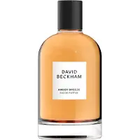 David Beckham Amber Breeze - Eau de parfum voor heren - 100 ML