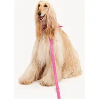 DOGGUO Heart Leash - Hondenriem - Roze