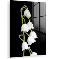 MuchoWow Glasschilderij 30x40 cm - Schilderij acrylglas - Lelietjes van dalen - Bloemen - Zwart - Flora - Foto op glas - Muurdecoratie woonkamer - Wanddecoratie slaapkamer - Schilderijen