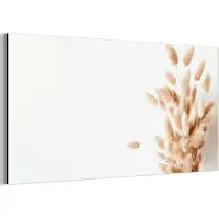 MuchoWow Aluminium schilderij 160x80 cm - Wanddecoratie metaal - Pampasgras - Pluim - Wit - Beige - Metalen muurdecoratie woonkamer - Decoratie industrieel - Foto op dibond - Industriële accessoires slaapkamer