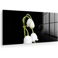 MuchoWow Glasschilderij 40x20 cm - Schilderij acrylglas - Lelietjes van dalen - Bloemen - Zwart - Flora - Foto op glas - Muurdecoratie woonkamer - Wanddecoratie slaapkamer - Schilderijen