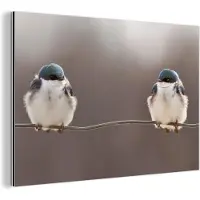 MuchoWow Aluminium schilderij 30x20 cm - Wanddecoratie metaal - Vogels - Dieren - Draad - Portret - Metalen muurdecoratie woonkamer - Decoratie industrieel - Foto op dibond - Industriële accessoires slaapkamer