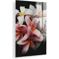 MuchoWow Glasschilderij 100x150 cm - Schilderij acrylglas - Bloemen - Roze - Zwart - Flora - Botanisch - Foto op glas - Muurdecoratie woonkamer - Wanddecoratie slaapkamer - Schilderijen