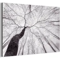 MuchoWow Aluminium schilderij 180x120 cm - Wanddecoratie metaal - Boom - Takken - Bladeren - Mist - Metalen muurdecoratie woonkamer - Decoratie industrieel - Foto op dibond - Industriële accessoires slaapkamer