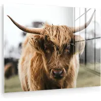 MuchoWow Glasschilderij 80x60 cm - Schilderij acrylglas - Schotse Hooglander - Koe - Gras - Dieren - Natuur - Foto op glas - Muurdecoratie woonkamer - Wanddecoratie slaapkamer - Schilderijen