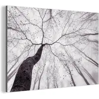 MuchoWow Aluminium schilderij 180x120 cm - Wanddecoratie metaal - Boom - Takken - Bladeren - Mist - Metalen muurdecoratie woonkamer - Decoratie industrieel - Foto op dibond - Industriële accessoires slaapkamer