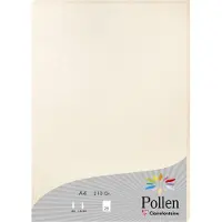 Pollen Etui de 25 feuilles A4 Ivoire Irisé 210g