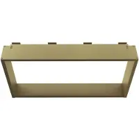 Boss & Wessing Opbouwnis BWS Colorato Doucherek voor Douchewand 30x60cm Geborsteld Goud
