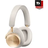 Bang & Olufsen Beoplay H95 Goud