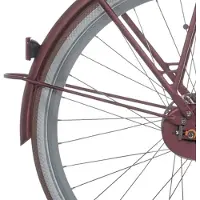 Cortina spatbordstang achter 28 e-u4 rose matt