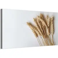 MuchoWow Aluminium schilderij 160x80 cm - Wanddecoratie metaal - Graan - Geel - Wit - Stilleven - Metalen muurdecoratie woonkamer - Decoratie industrieel - Foto op dibond - Industriële accessoires slaapkamer