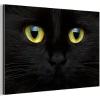 MuchoWow Aluminium schilderij 180x120 cm - Wanddecoratie metaal - Kat - Zwart - Dieren - Natuur - Metalen muurdecoratie woonkamer - Decoratie industrieel - Foto op dibond - Industriële accessoires slaapkamer