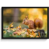 PosterMonkey Poster in lijst - Fotolijst 60x40 cm - Posters - Eekhoorn - Herfst - Bosdieren - Herfstbladeren - Bos - Posterlijst zwart - Decoratie - Wanddecoratie woonkamer - Muurdecoratie slaapkamer