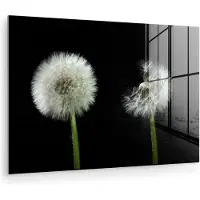 MuchoWow Glasschilderij 180x120 cm - Schilderij acrylglas - Paardenbloem - Planten - Bloemen - Donker - Stilleven - Foto op glas - Muurdecoratie woonkamer - Wanddecoratie slaapkamer - Schilderijen