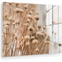 MuchoWow Glasschilderij 40x30 cm - Schilderij acrylglas - Droogbloemen - Beige - Bloemen - Natuur - Foto op glas - Muurdecoratie woonkamer - Wanddecoratie slaapkamer - Schilderijen