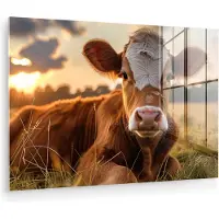MuchoWow Glasschilderij 180x120 cm - Schilderij acrylglas - Koe - Dier - Weiland - Gras - Dieren - Natuur - Foto op glas - Muurdecoratie woonkamer - Wanddecoratie slaapkamer - Schilderijen