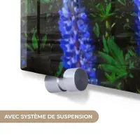 MuchoWow Glasschilderij 20x40 cm - Schilderij acrylglas - Bloemen - Nacht - Lupine - Sterrenhemel - Paars - Natuur - Foto op glas - Muurdecoratie woonkamer - Wanddecoratie slaapkamer - Schilderijen