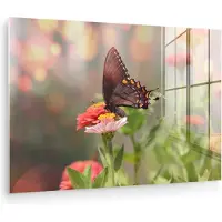 MuchoWow Glasschilderij 180x120 cm - Schilderij acrylglas - Bloemen - Vlinder - Natuur - Bloem - Foto op glas - Muurdecoratie woonkamer - Wanddecoratie slaapkamer - Schilderijen