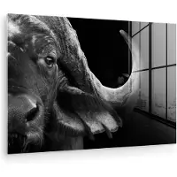 MuchoWow - Glasschilderij - Foto op glas - Acrylglas - Wilde dieren - Buffalo - Zwart - Wit - Muurdecoratie - 180x120 cm - Wanddecoratie - Woonkamer - Kamer decoratie