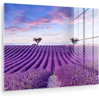 MuchoWow Glasschilderij - Acrylglas - Foto op glas - Lavendel - Bomen - Bloemen - Paars - 160x120 cm - Glasschilderij natuur - Wanddecoratie glas - Schilderij paars - Kamer decoratie