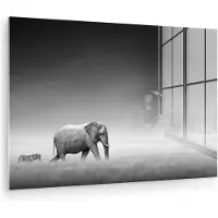 MuchoWow Glasschilderij - Foto op glas - Wilde dieren - Olifant - Zebra - Gras - Natuur - Acrylglas - 120x80 cm - Glasschilderij zebra - Glasschilderij zwart wit - Schilderij glas - Kamerdecoratie