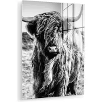 MuchoWow Glasschilderij - Foto op glas - Schotse hooglander - Natuur - Koe - Zwart wit - Acrylglas - Wanddecoratie - 30x40 cm - Glasschilderij Schotse hooglander - Schilderij glas - Kamer decoratie