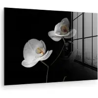 MuchoWow Glasschilderij 180x120 cm - Schilderij acrylglas - Orchidee - Bloemen - Zwart - Wit - Stilleven - Foto op glas - Muurdecoratie woonkamer - Wanddecoratie slaapkamer - Schilderijen