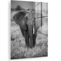 MuchoWow Acrylglas - Glasschilderij - Olifant - Dieren - Big five - Savanne - Glasschilderij zwart wit - Muurdecoratie glas - 30x40 cm