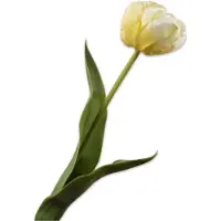 Silk-ka Kunstbloem-Zijden Bloemen Tulp Steel Geel-Wit 47 cm Per 2 Stuks