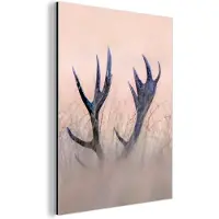 MuchoWow Aluminium schilderij 90x120 cm - Wanddecoratie metaal - Gewei - Hert - Gras - Natuur - Metalen muurdecoratie woonkamer - Decoratie industrieel - Foto op dibond - Industriële accessoires slaapkamer