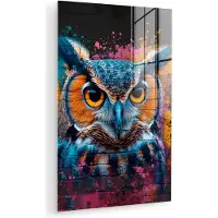 MuchoWow Glasschilderij 40x60 cm - Schilderij acrylglas - Uil - Vogel - Kleurrijk - Graffiti - Art - Foto op glas - Muurdecoratie woonkamer - Wanddecoratie slaapkamer - Schilderijen