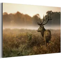 MuchoWow Aluminium schilderij 150x100 cm - Wanddecoratie metaal - Hert - Mist - Herfst - Metalen muurdecoratie woonkamer - Decoratie industrieel - Foto op dibond - Industriële accessoires slaapkamer
