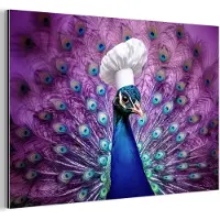 MuchoWow Aluminium schilderij 30x20 cm - Wanddecoratie metaal - Pauw - Koksmuts - Cool - Paars - Metalen muurdecoratie woonkamer - Decoratie industrieel - Foto op dibond - Industriële accessoires slaapkamer