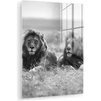 MuchoWow Glasschilderij leeuw - Wilde dieren - Natuur - Safari - Portret - Wanddecoratie glas - 120x160 cm - Muurdecoratie slaapkamer - Schilderij dieren - Woonaccessoires - Glasplaat