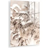 MuchoWow Glasschilderij 60x80 cm - Schilderij acrylglas - Winter - Planten - Sneeuw - Natuur - Seizoenen - Foto op glas - Muurdecoratie woonkamer - Wanddecoratie slaapkamer - Schilderijen