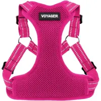 Voyager Best Pet Supplies Hondentuig Fuchsia XL