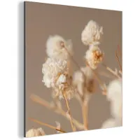 MuchoWow Aluminium schilderij 50x50 cm - Wanddecoratie metaal - Bloemen - Wit - Natuur - Pastel - Metalen muurdecoratie woonkamer - Decoratie industrieel - Foto op dibond - Industriële accessoires slaapkamer