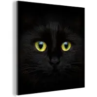 MuchoWow Aluminium schilderij 90x90 cm - Wanddecoratie metaal - Kat - Zwart - Dieren - Natuur - Metalen muurdecoratie woonkamer - Decoratie industrieel - Foto op dibond - Industriële accessoires slaapkamer